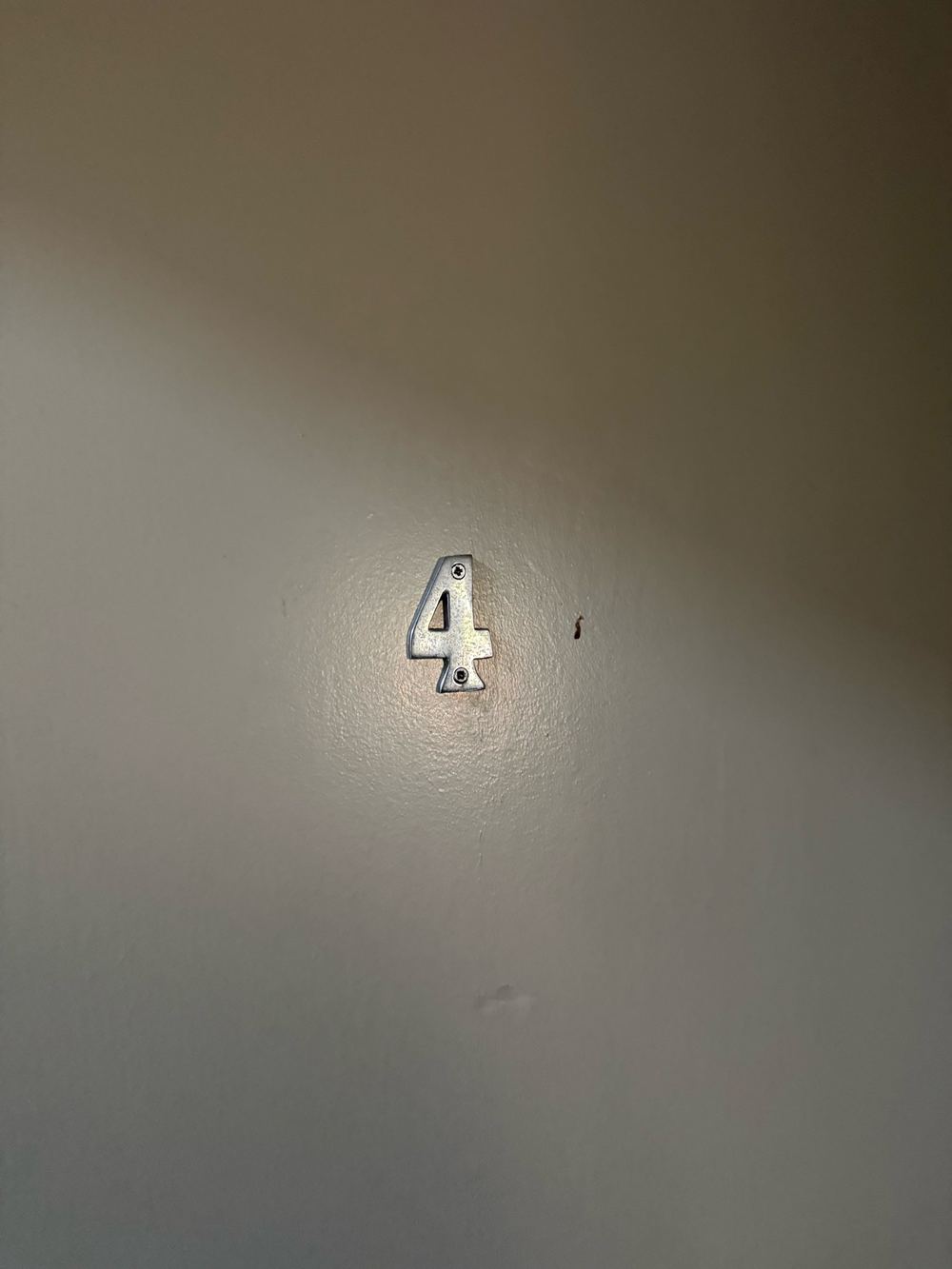Bubbling paint and efflorescence on walls beside a leaking balcony, found during a defect investigation inspection in Telopea