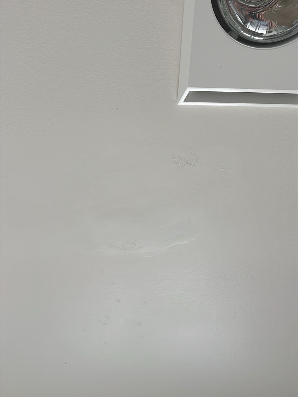 Ceiling staining from a recent leak or condensation, found during a building and pest inspection in Stanhope Gardens