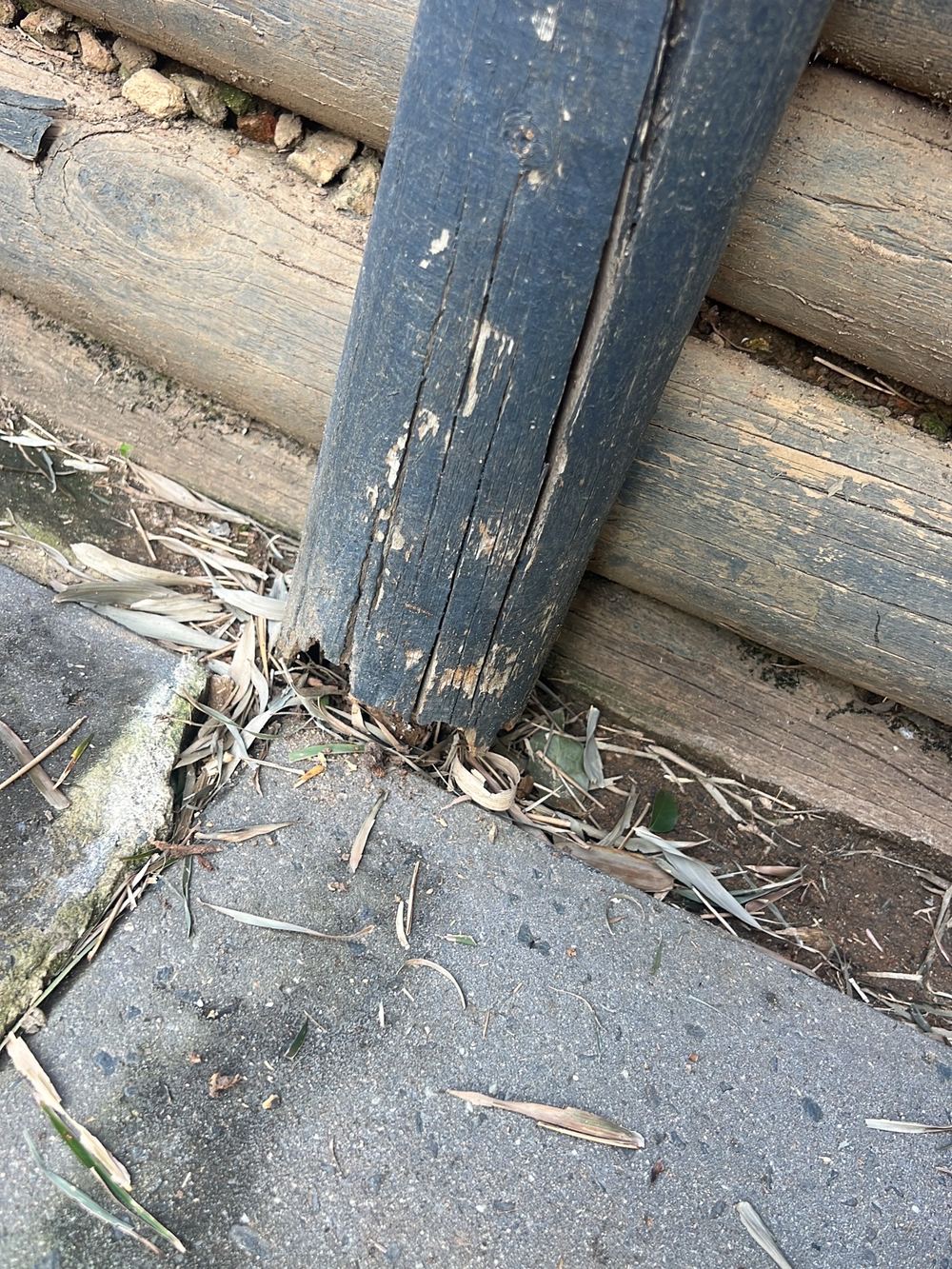 Building and Pest Inspections in Rouse Hill