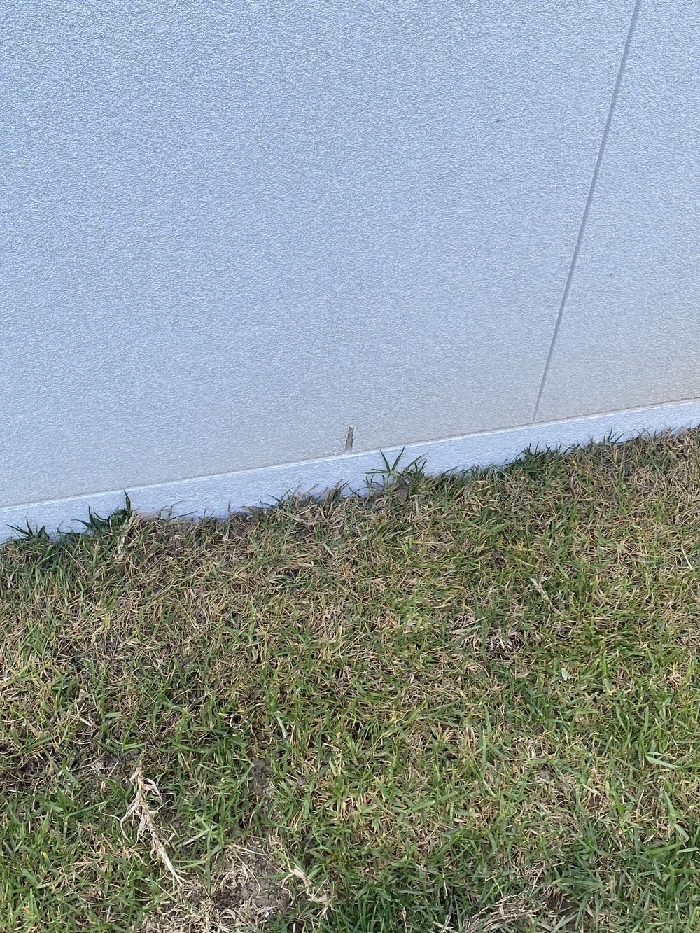 Weep holes, damp courses and the ground around a new Rouse Hill home