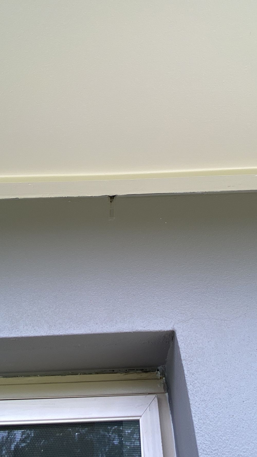 Blocked weep holes stopping the brick cavity from draining, found during a building and pest inspection in Dural