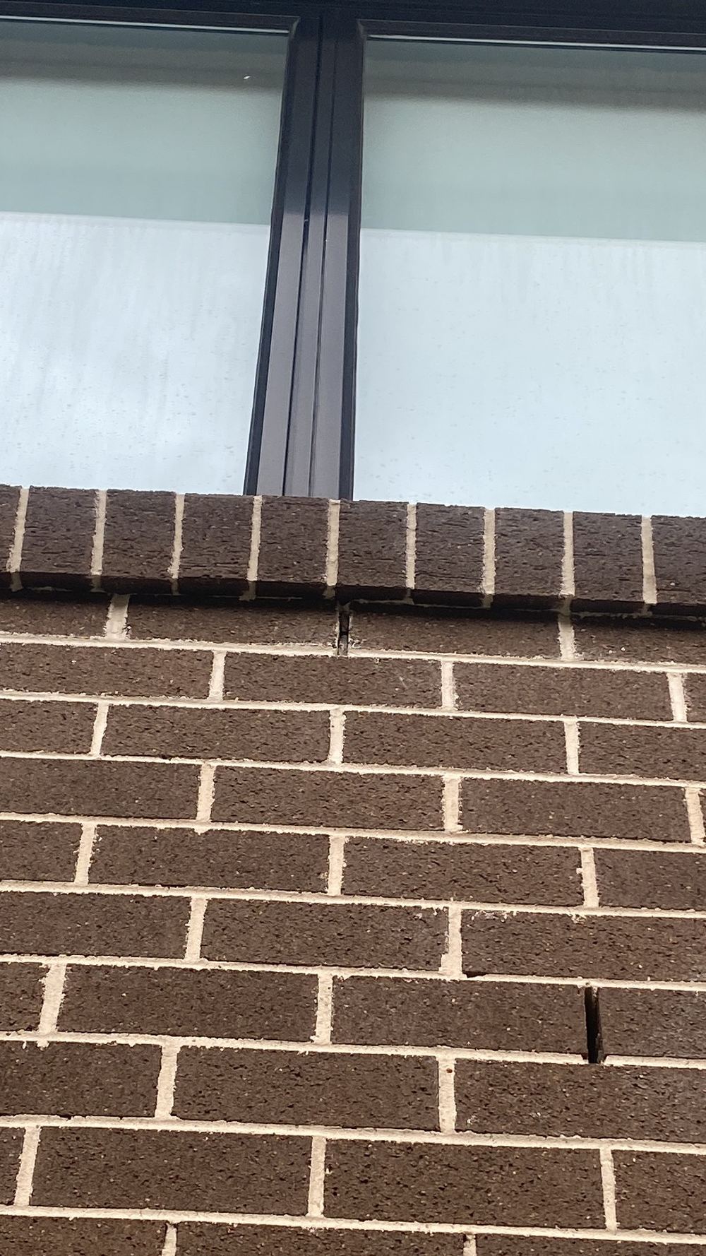 Weep holes blocked with mortar, trapping water inside the wall cavity, Rouse Hill
